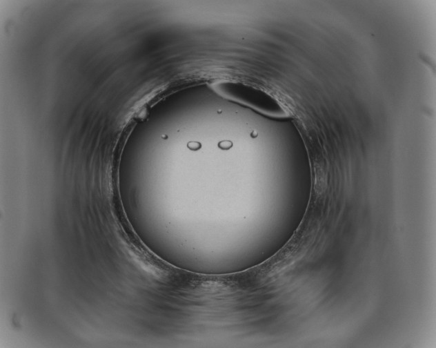 X0000098140390200804241719