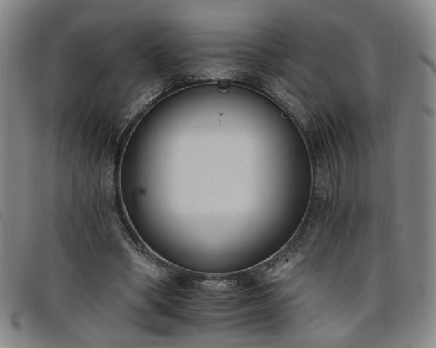 X0000098140394200804241719