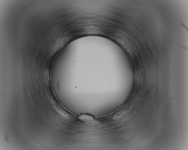 X0000098140397200804241719