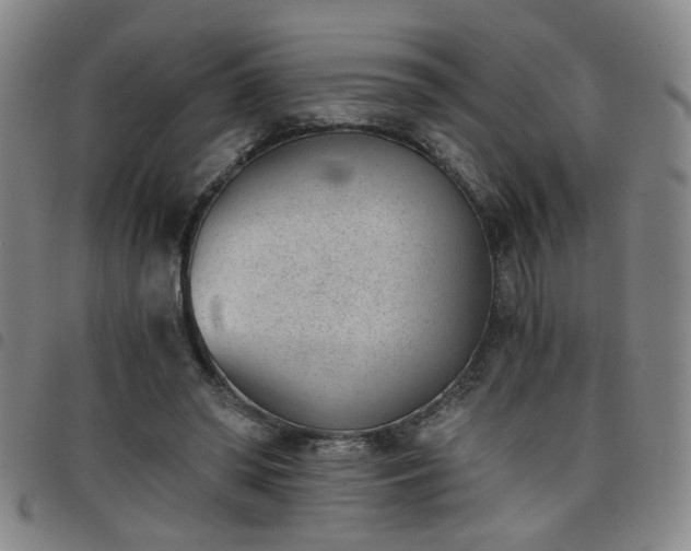 X0000098140398200804241719