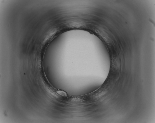 X0000098140399200804241719
