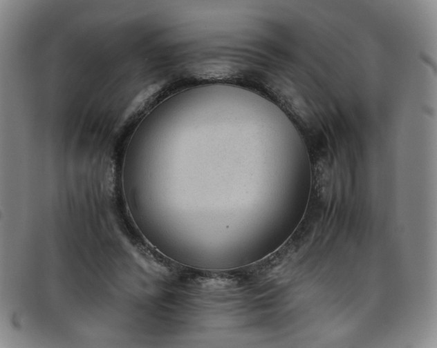 X0000098140400200804241719