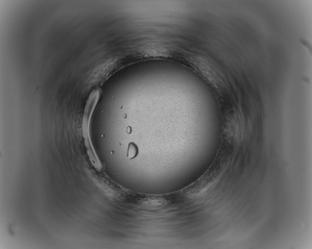 X0000098140402200804241719