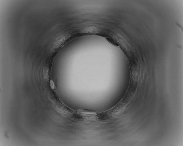 X0000098140403200804241719