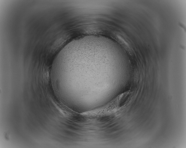 X0000098140405200804241719