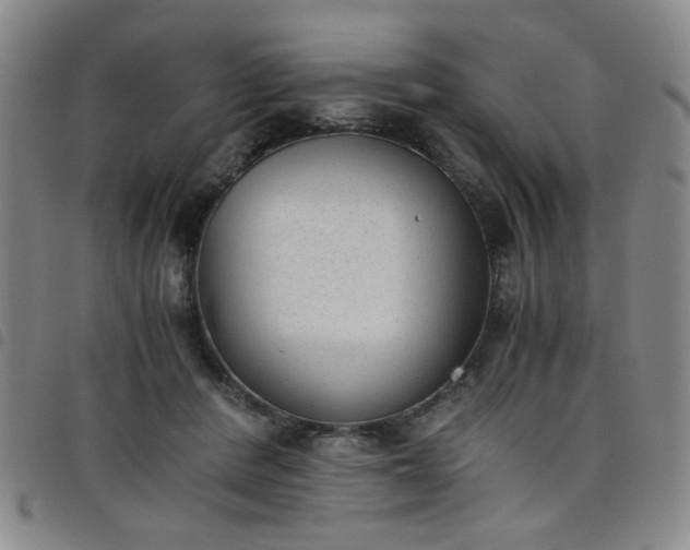 X0000098140408200804241719