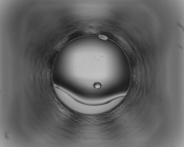 X0000098140409200804241719
