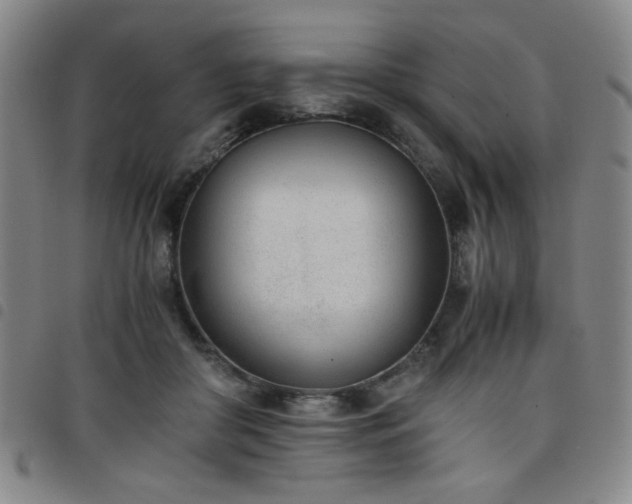 X0000098140410200804241719