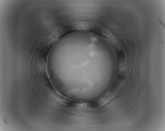 X0000098140411200804241719