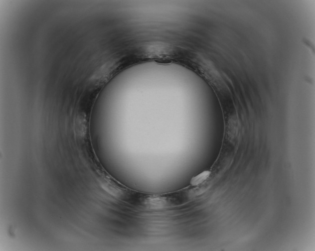 X0000098140413200804241719