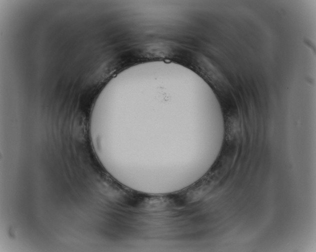 X0000098140414200804241719