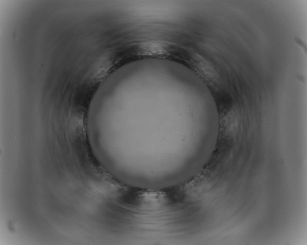 X0000098140415200804241719