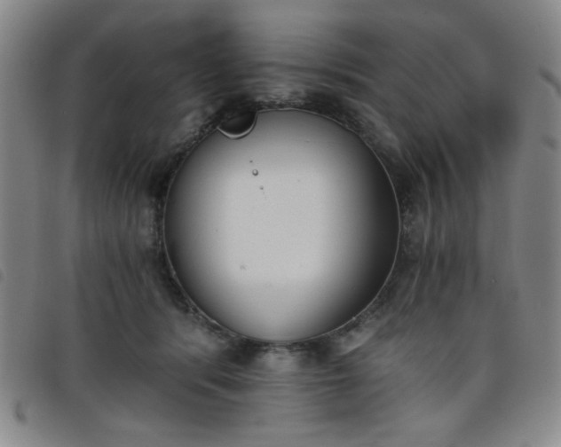 X0000098140416200804241719
