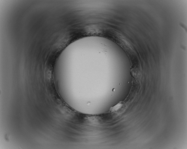 X0000098140417200804241719