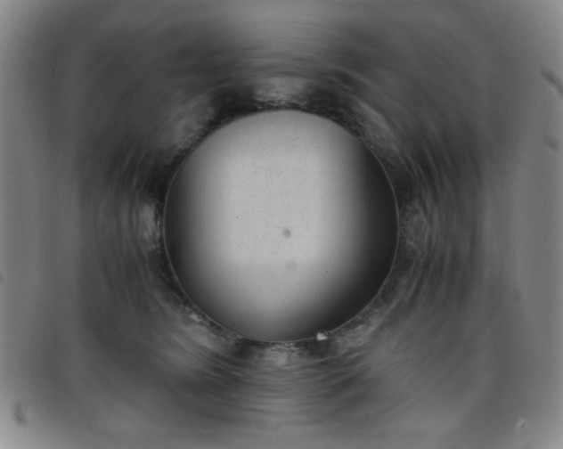 X0000098140420200804241719