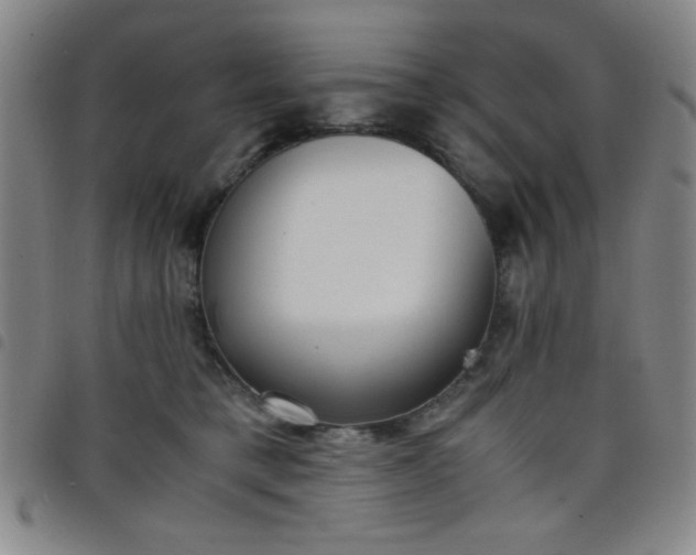 X0000098140421200804241719