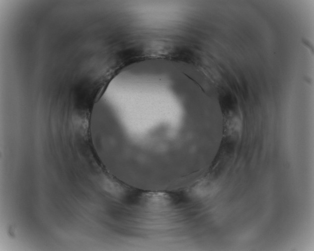 X0000098140427200804241718