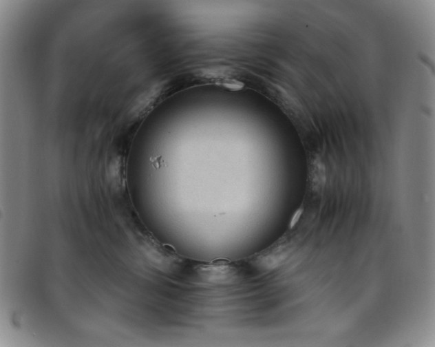 X0000098140428200804241718