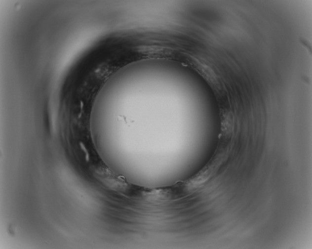 X0000098140430200804241718