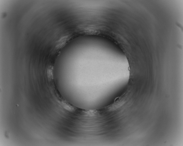 X0000098140432200804241718