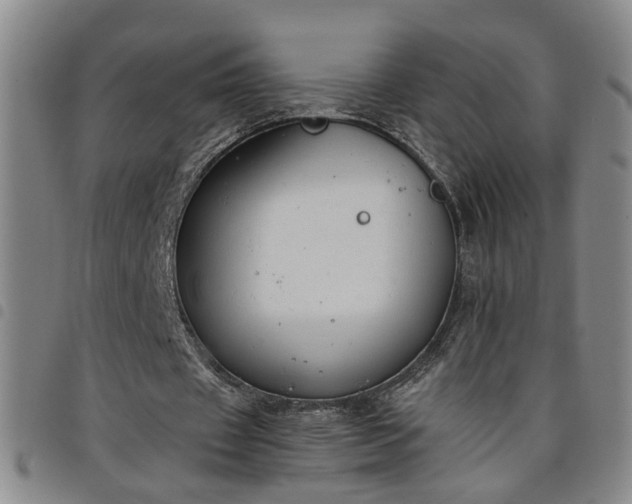 X0000098140433200804241717