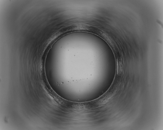 X0000098140435200804241718