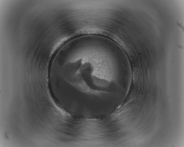 X0000098140438200804241718