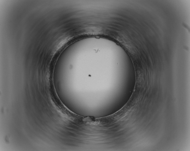 X0000098140440200804241718