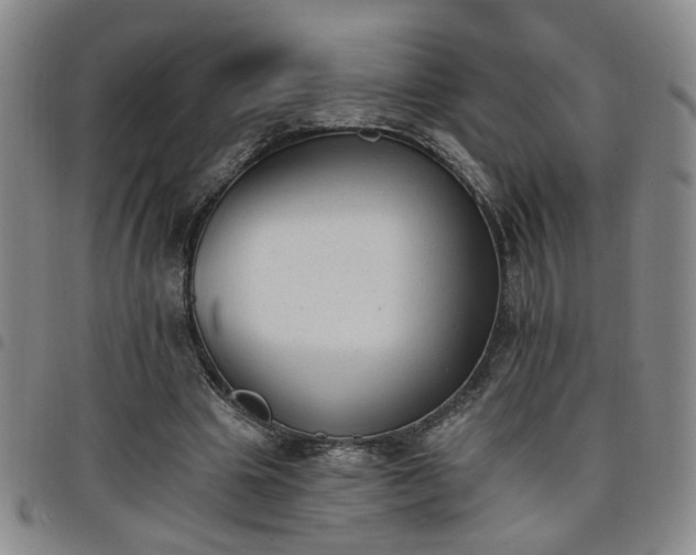 X0000098140441200804241718