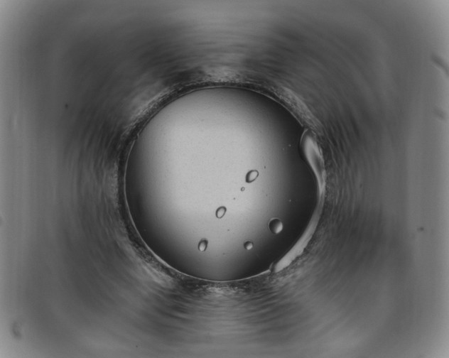 X0000098140442200804241718