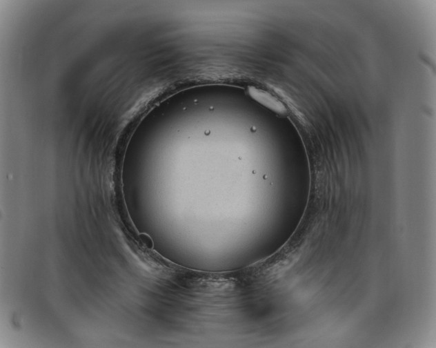 X0000098140443200804241718