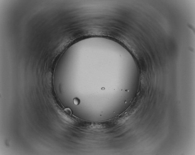 X0000098140445200804241718