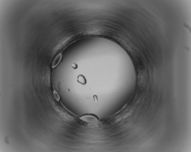 X0000098140446200804241718