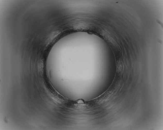 X0000098140448200804241718