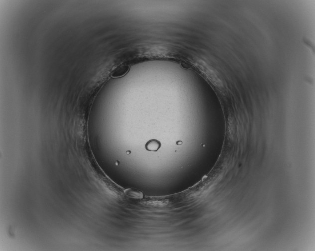 X0000098140449200804241718