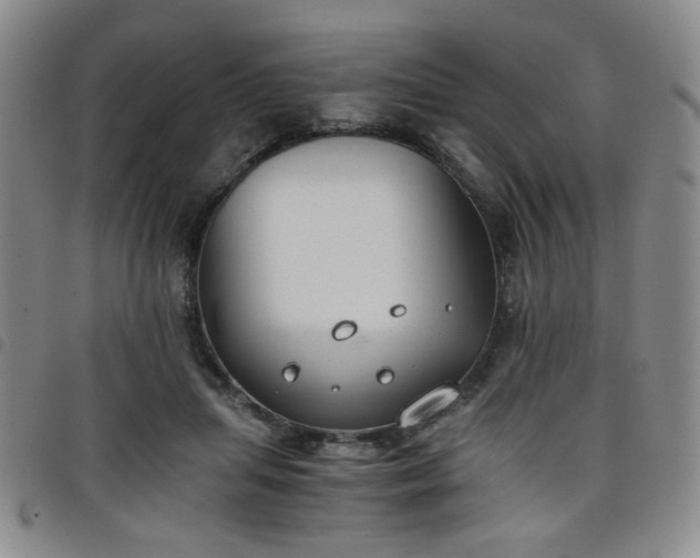 X0000098140455200804241718