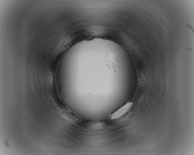 X0000098140456200804241718