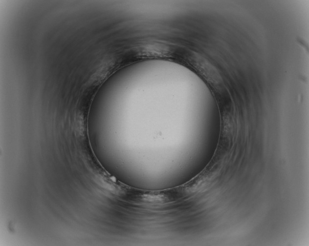 X0000098140457200804241718