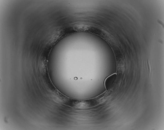 X0000098140460200804241718