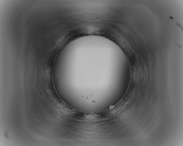 X0000098140461200804241718