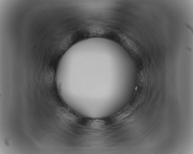 X0000098140463200804241718