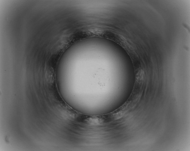 X0000098140464200804241718
