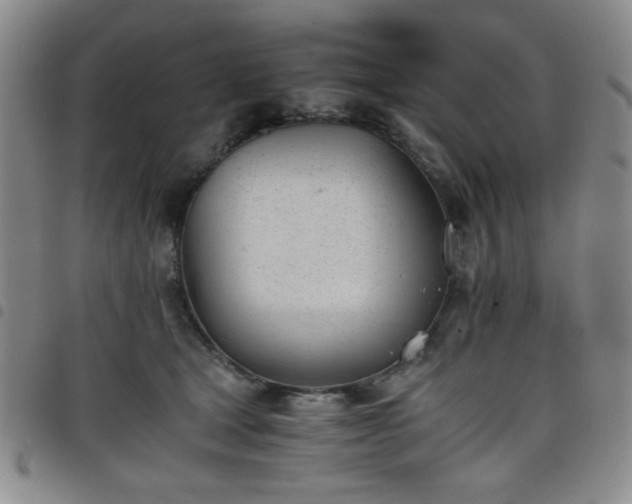 X0000098140465200804241718