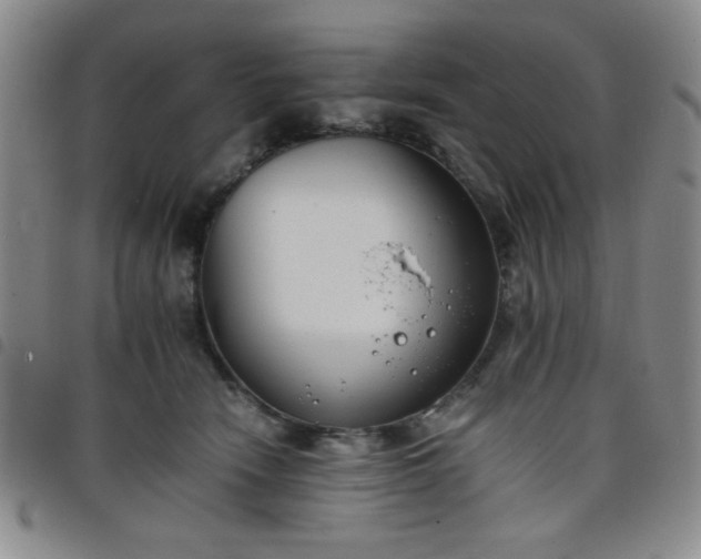 X0000098140466200804241718