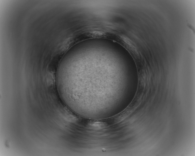 X0000098140467200804241718