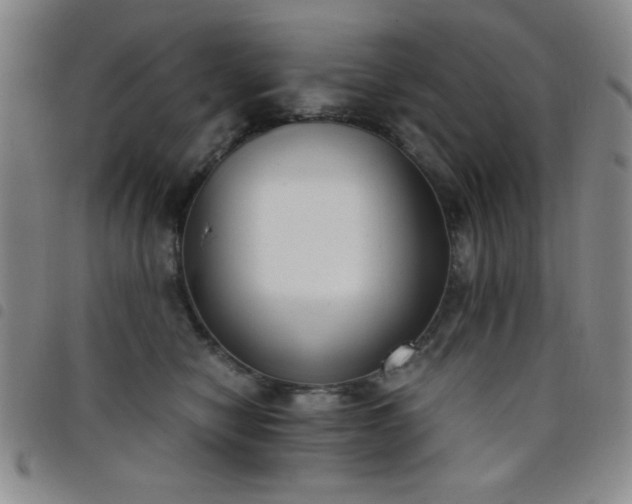 X0000098140470200804241718