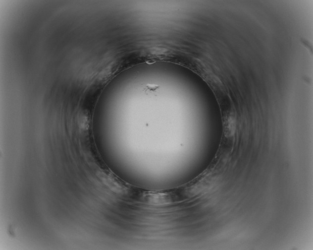 X0000098140472200804241718