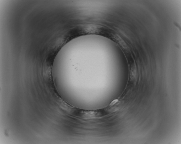 X0000098140473200804241718