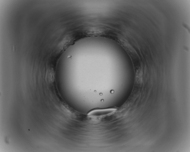 X0000098140474200804241718