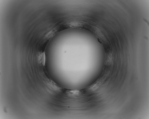 X0000098140478200804241718